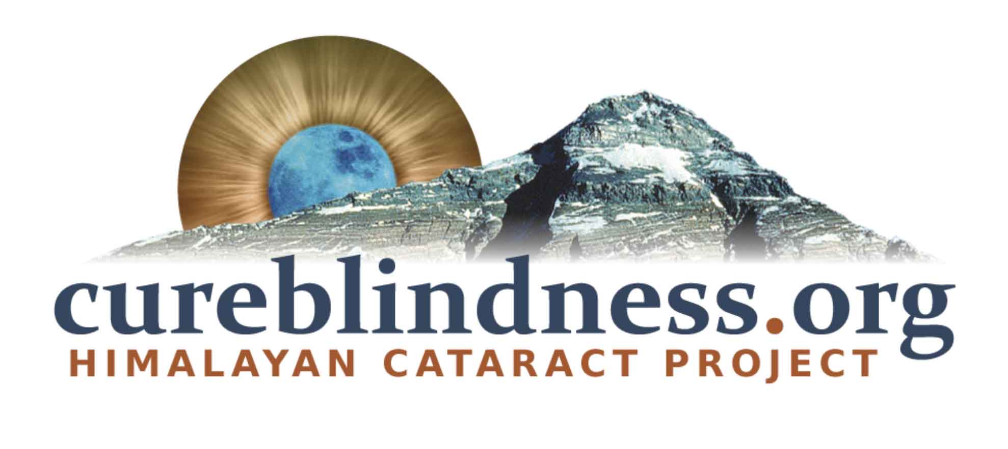 whim publishing is helipng cureblindness.org with each purchase